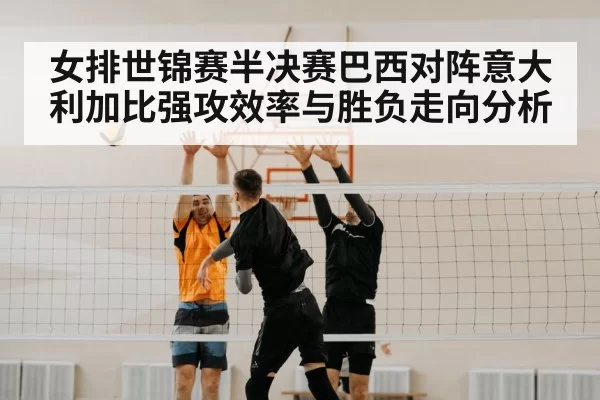 volleyball block net