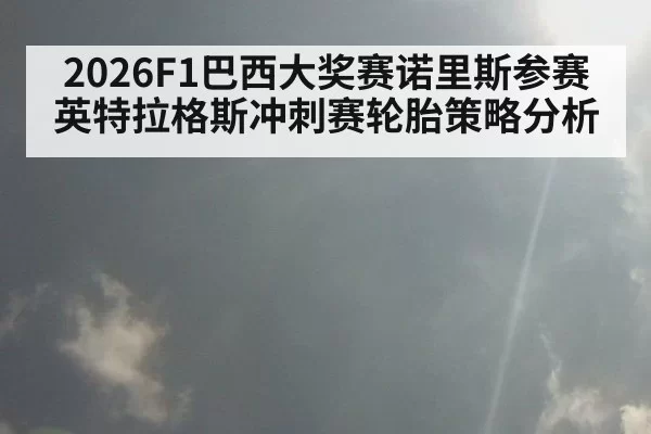 2026F1巴西大奖赛诺里斯参赛英特拉格斯冲刺赛轮胎策略分析
